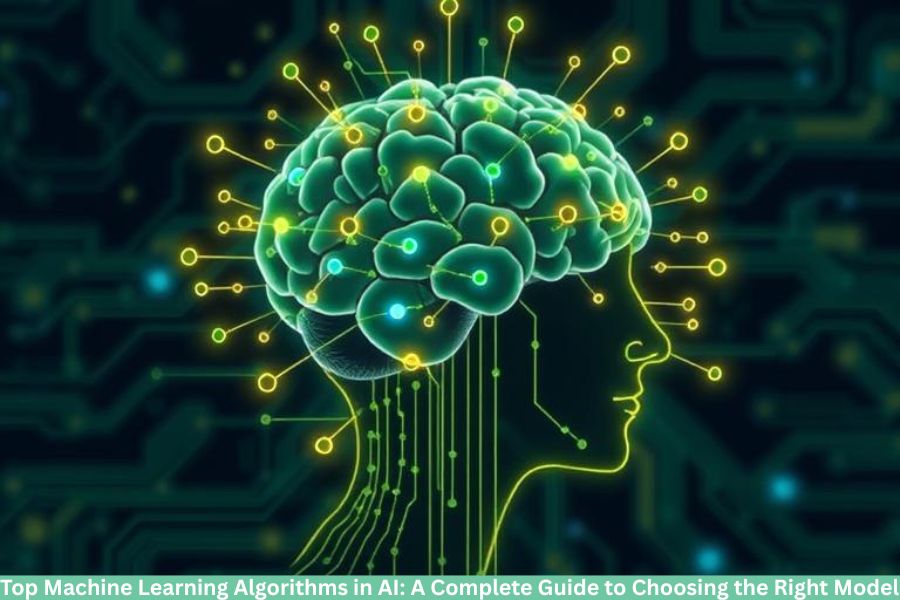 top machine learning algorithms used in AI